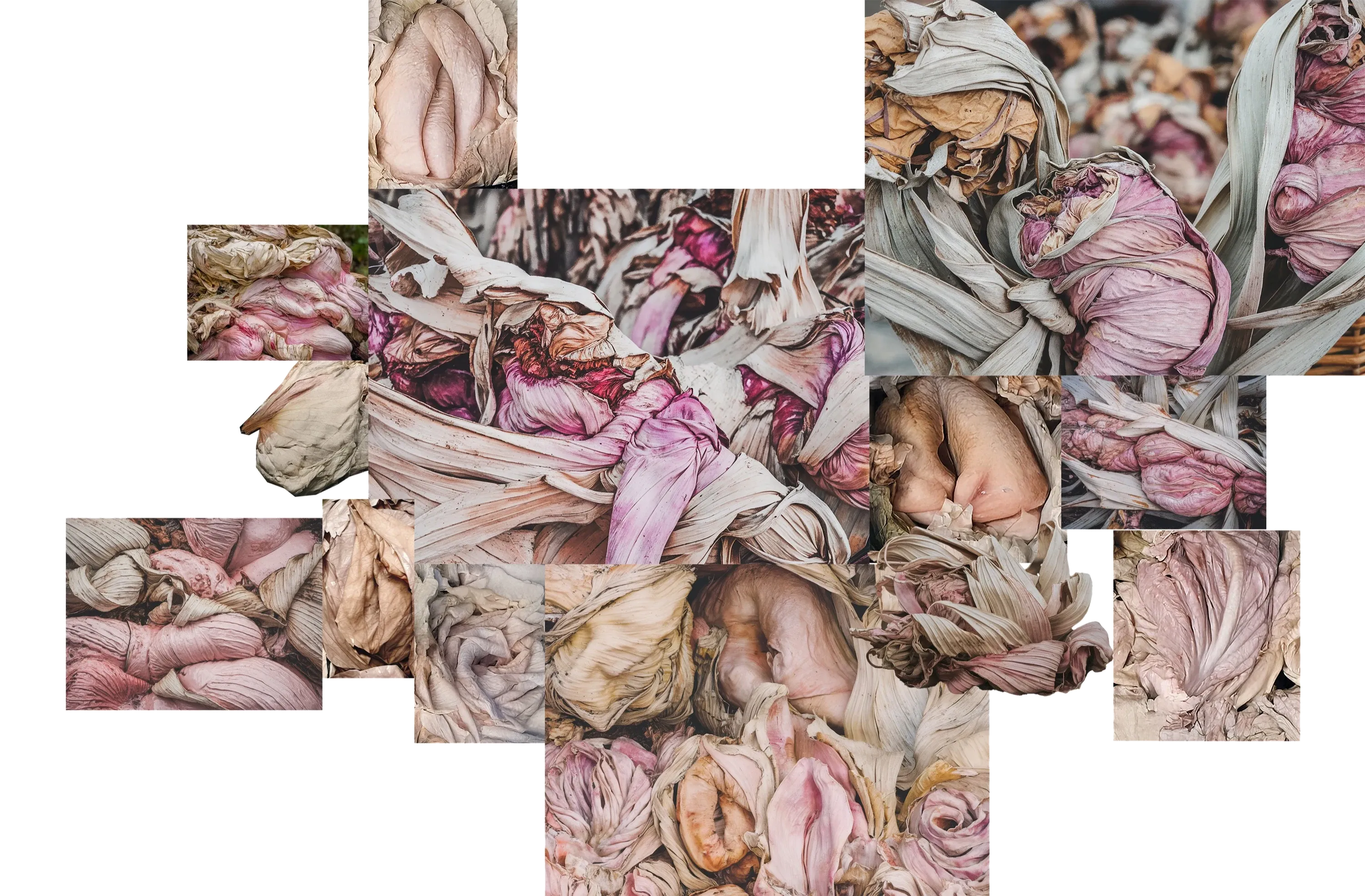 A loose collage of cut-out fragments of generated imagery