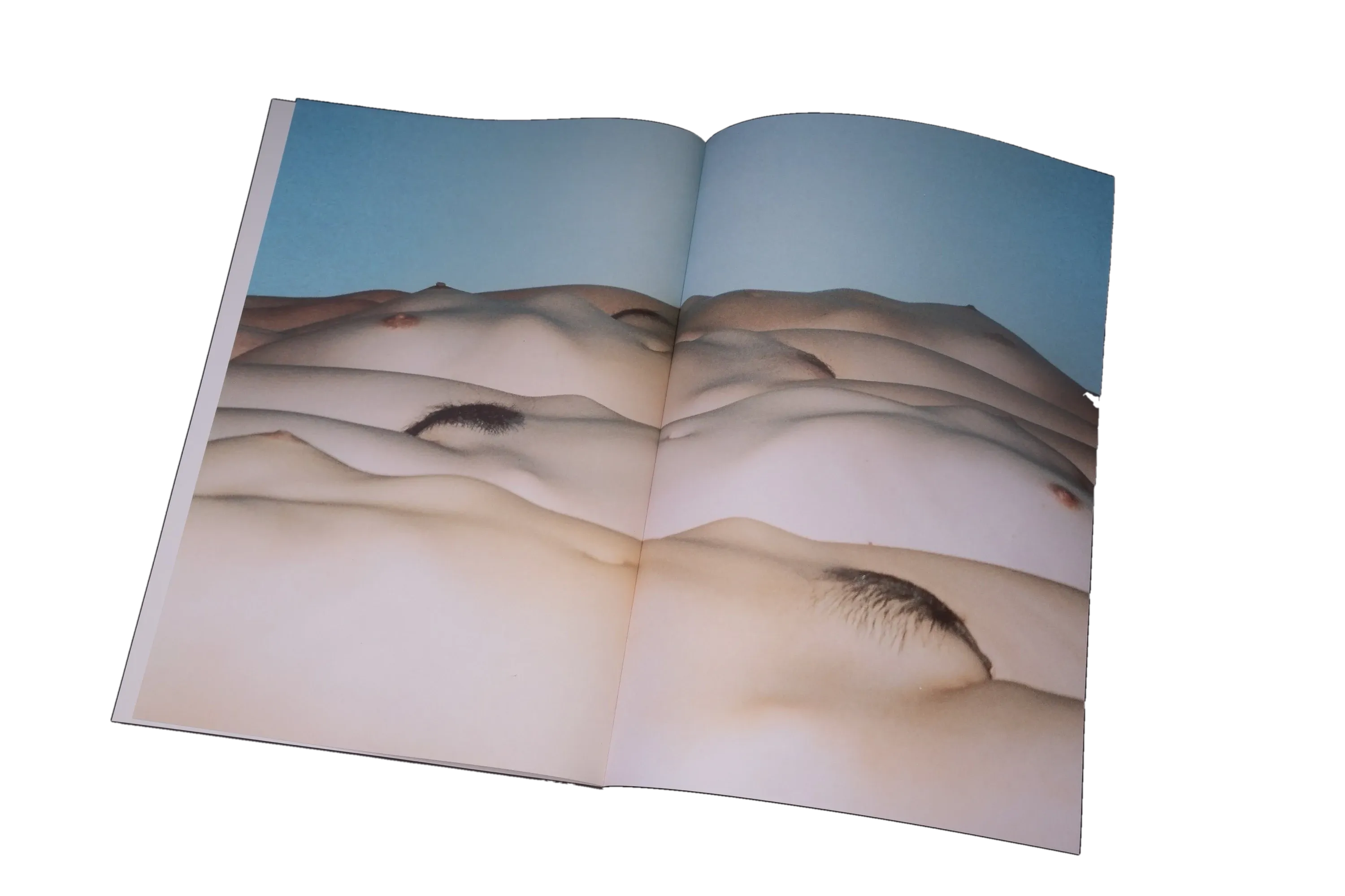 A full-bleed spread of a desert landscape